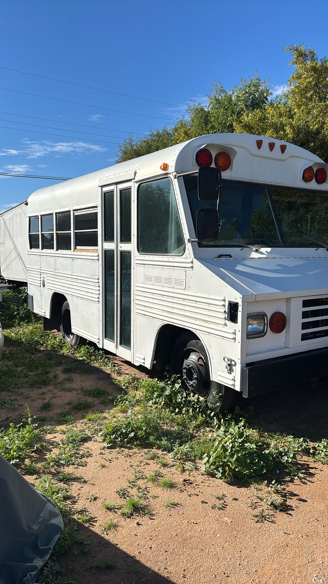 Diesel Blue Bird Bus 2003