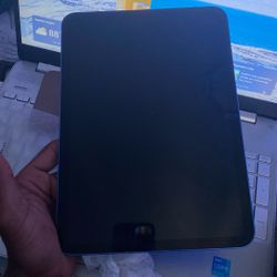 2025 Apple 11 Inch iPad 