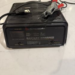 Automotive battery charger