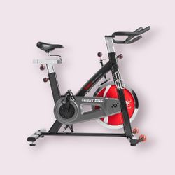 Sunny Indoor Exercise Bike