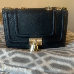 Aldo Purse