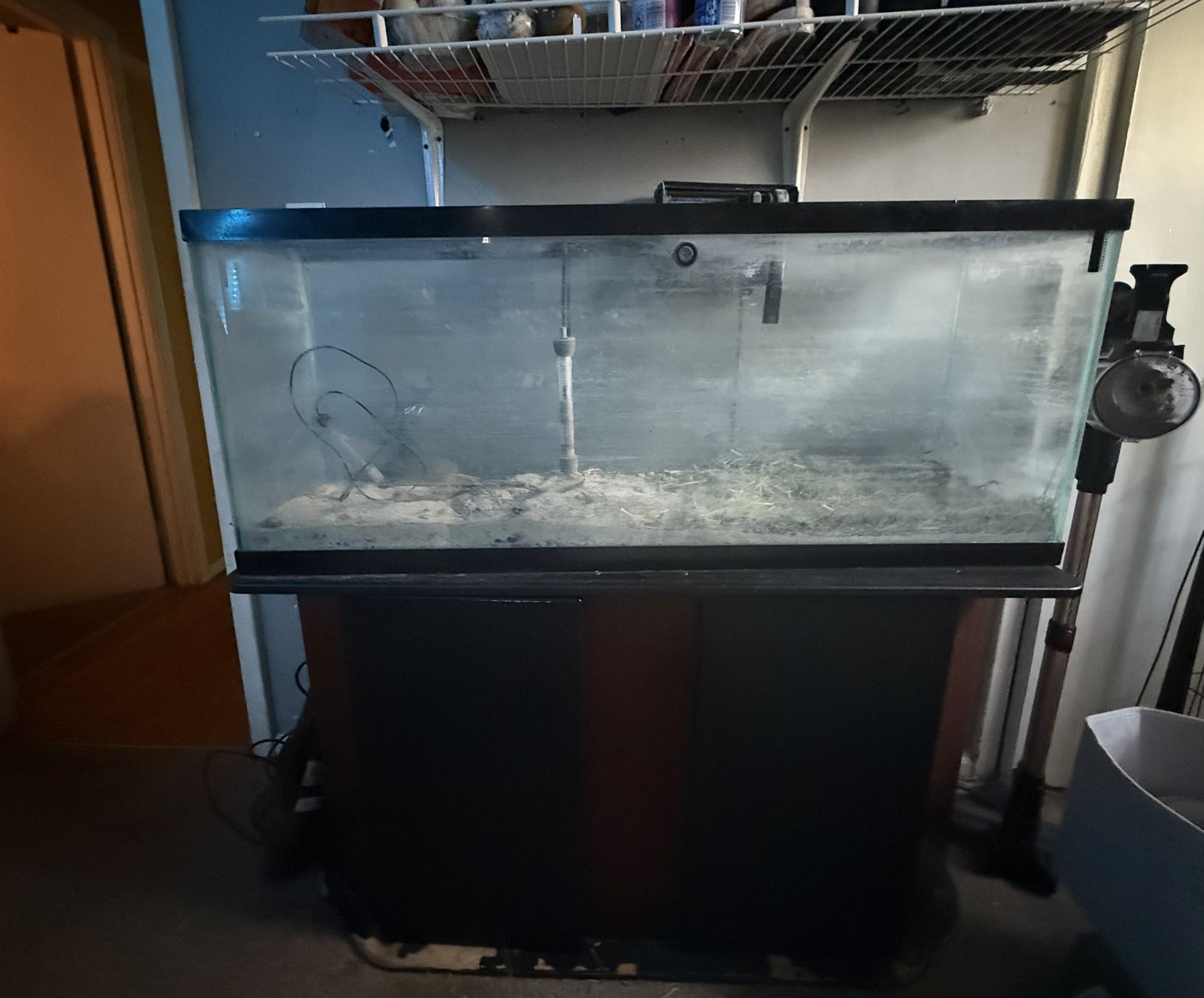 55 Gallon fish Tank + Stand