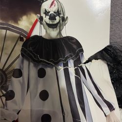 Spirit psycho clown- Jumpsuit and mask only