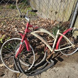 Beach ⛱️ cruise bicycle