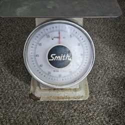  Scale  60lb Weight 