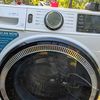 Appliances An  Repair Flea Mar
