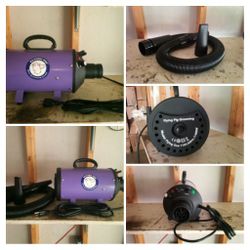 Flying Pig Dog  Dryer