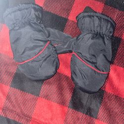 Snow Gloves (toddler )