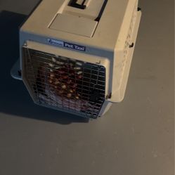 Travel Crate For Dogs Or Cats 