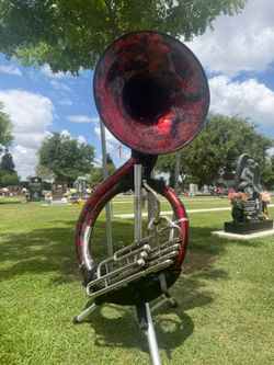 Grupo con Tuba