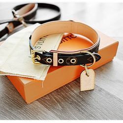 LV pet collar and leash set. Made of genuine leather. Classic style. Brand new and unused.