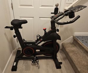 CURSOR Spin Bike / Indoor Exercise Bike – $125 OBO