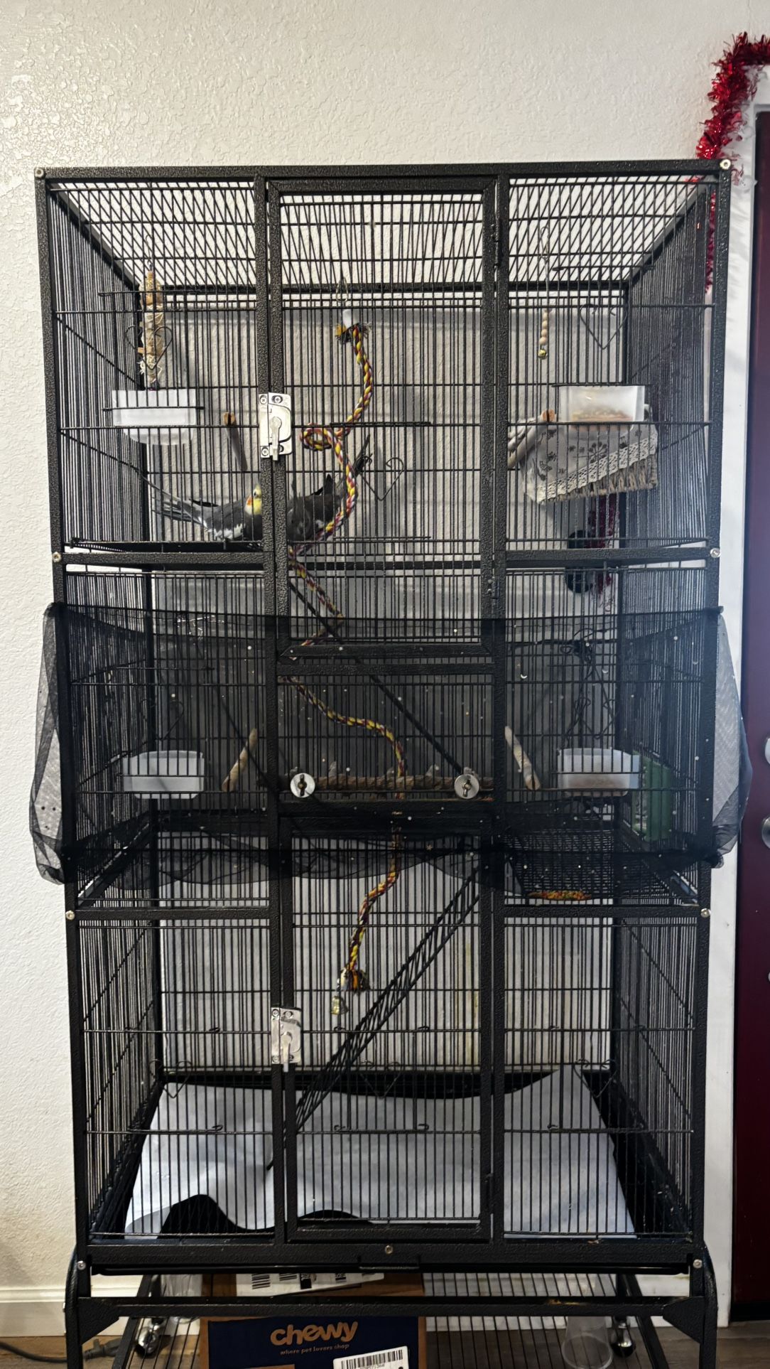 Bird cage for sale 