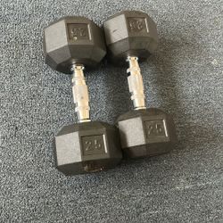 25lb Dumbbells