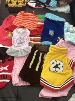 DOG CLOTHES / OUTFITS