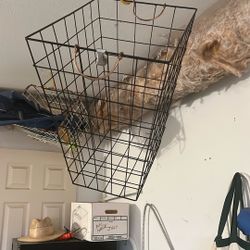 Launder my Basket 