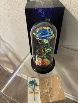 Light Up Rose in A Glass Dome $20