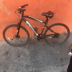 Schwinn 