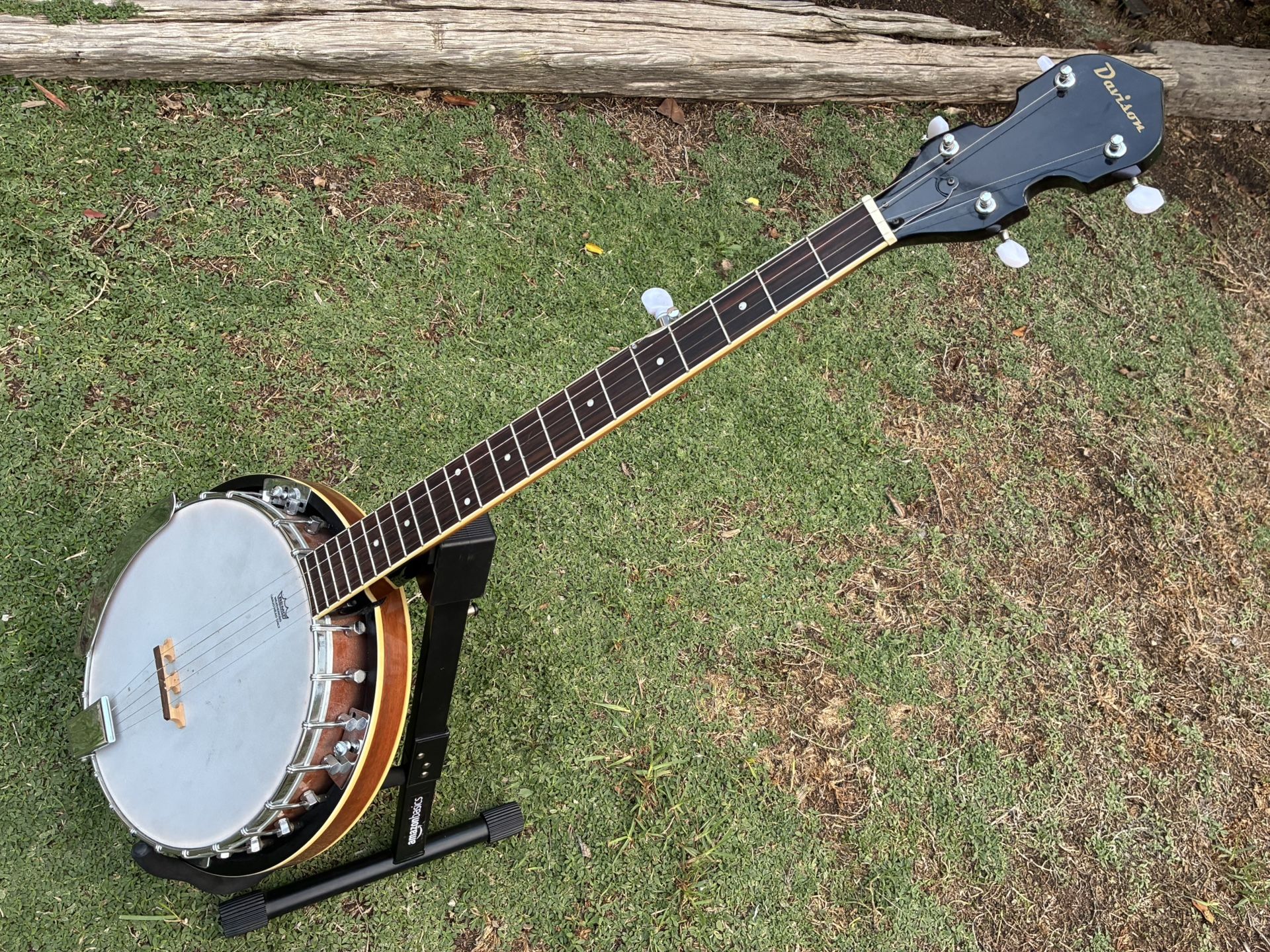 5 String Banjo 