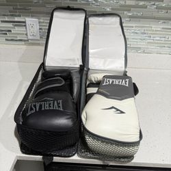 Everlast Boxing Gloves 