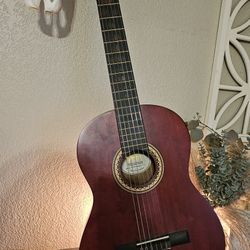 Valencia Parlor Acoustic Guitar-Gorgeous!