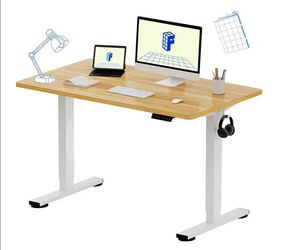 FLEXISPOT EN1 Electric Standing Desk 48x24 Height Adjustable