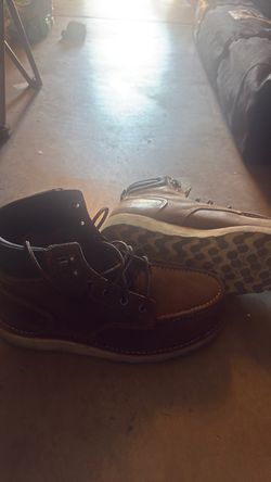 Irish setter size 11