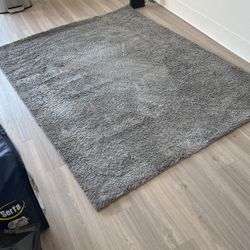 Gray Rug