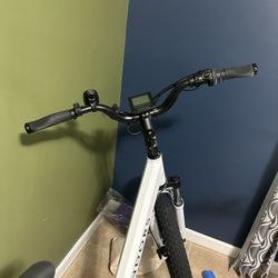 Sondors Electric Bike