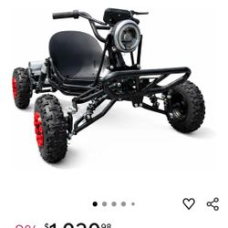 Stolen Electric Bike