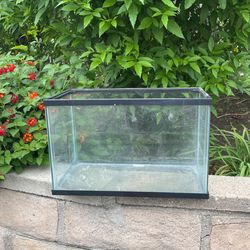 aquarium tank