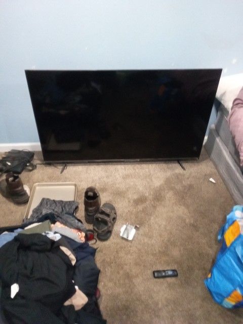 55 Inch Roku Tv