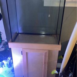30 Gal Tall Fish Tank + Stand 