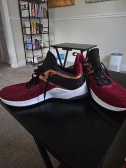 FSU inspired sneakers