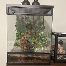 Thrive Tropical Reptile Terrarium Essential Kit 