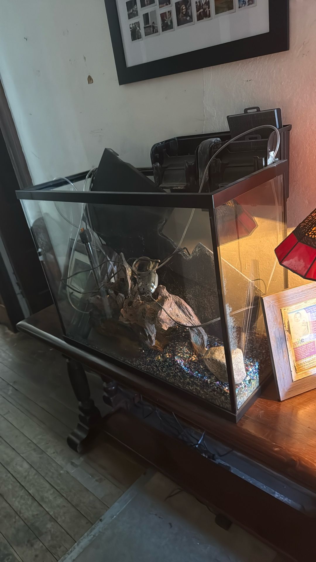 25 Gallon Fish Tank