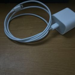 iphone charger (fast)