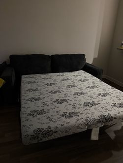 Sofa bed 250 brand new still has tags