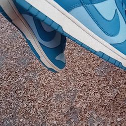 Nike basketball Dunks 