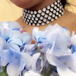 Beautiful Choker Brand New