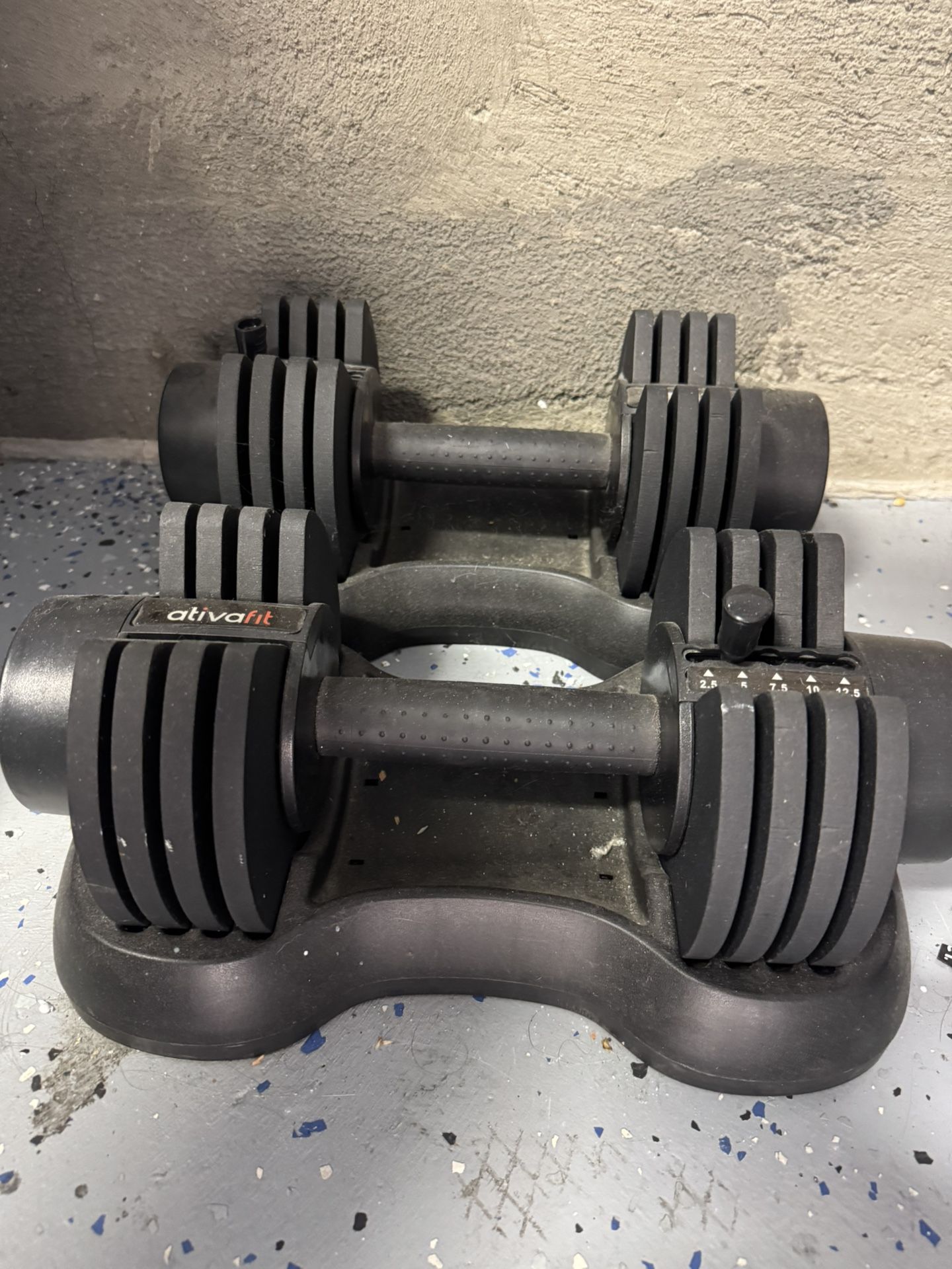 Adjustable Dumbbell Weights $80