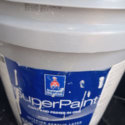 5 gallons Interior satin light beige paint