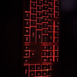 Mouse And Keyboard 