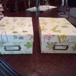 Two  Filing Boxes