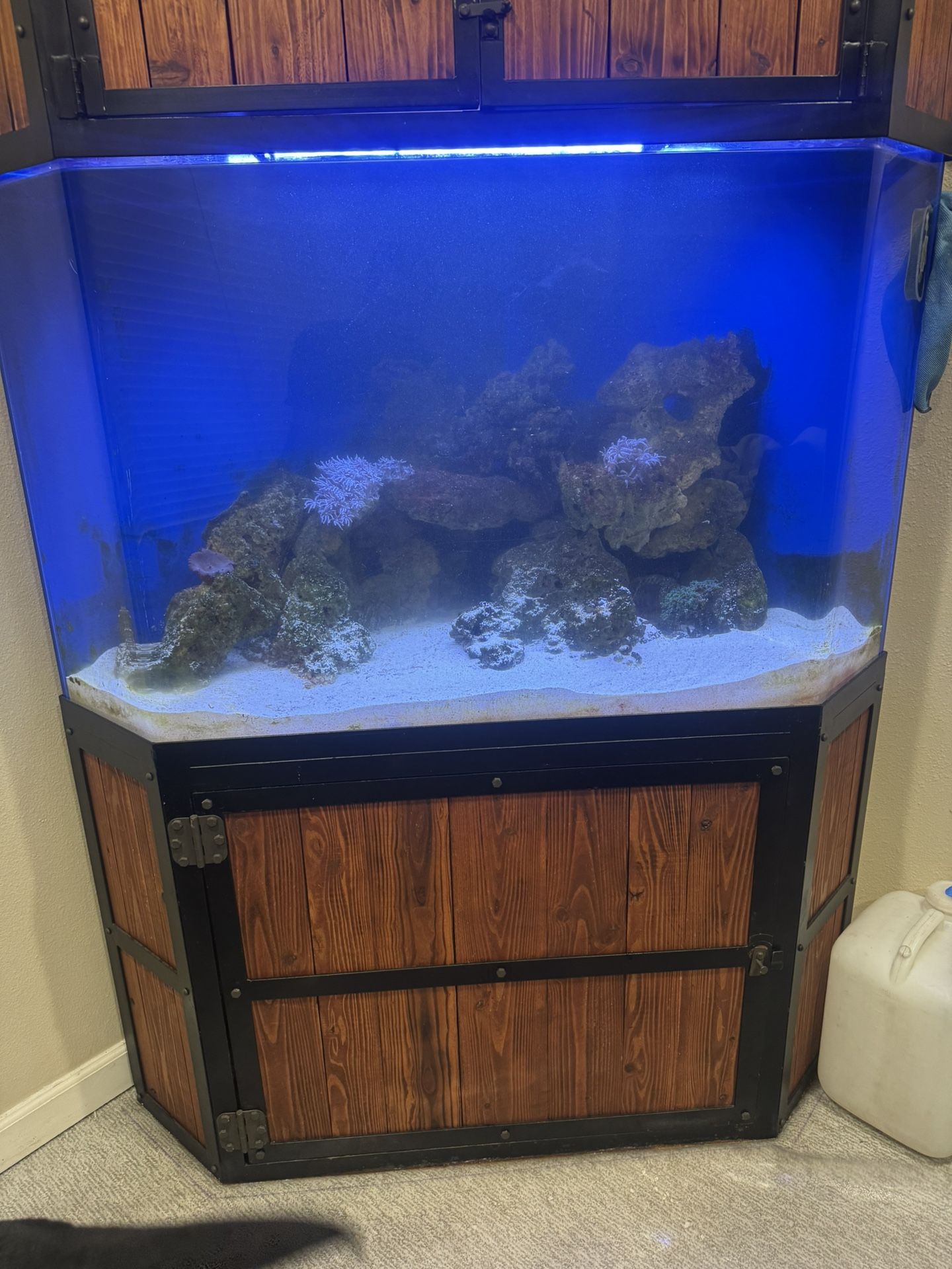 150 Gallon Fish Tank
