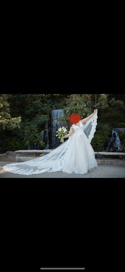 Bridal Dress With Long Beautiful Veil