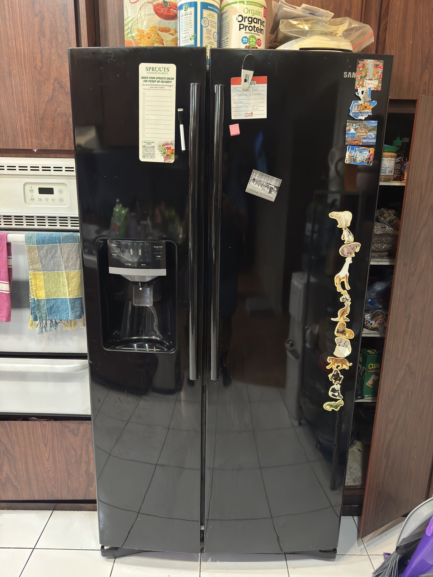 Samsung refrigerator filtered water dispenser/ice