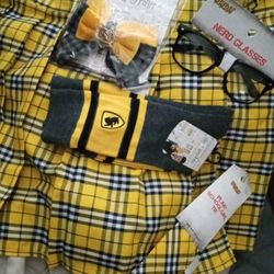 Adult Harry Potter/ School Girl Theme Costume 