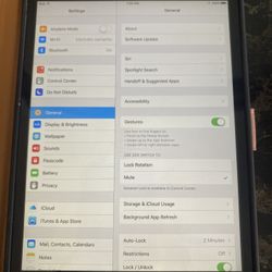 iPad Mini With Case