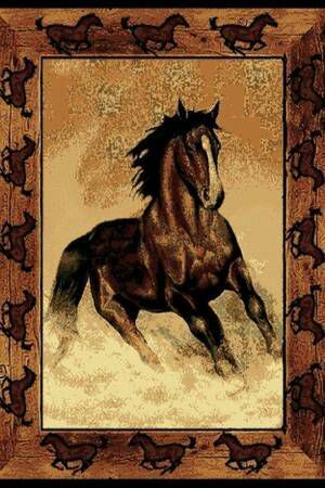 New 5x8 stallion area rug